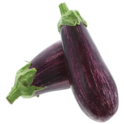 AUBERGINE TIGREE GRAFFITI 5KG